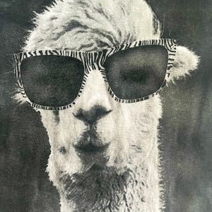 Extra Large White Alpaca In Sunglasses T-shirt